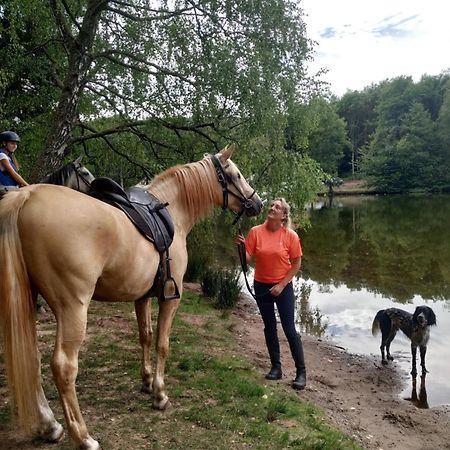 L'Echappee Verte - Gite Equestre 5 Pers Soucht Dış mekan fotoğraf