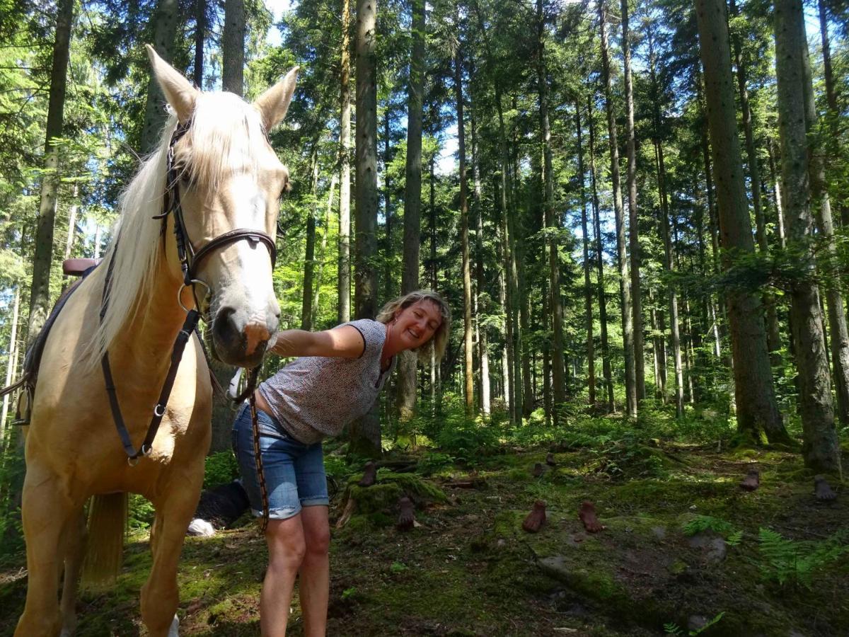 L'Echappee Verte - Gite Equestre 5 Pers Soucht Dış mekan fotoğraf