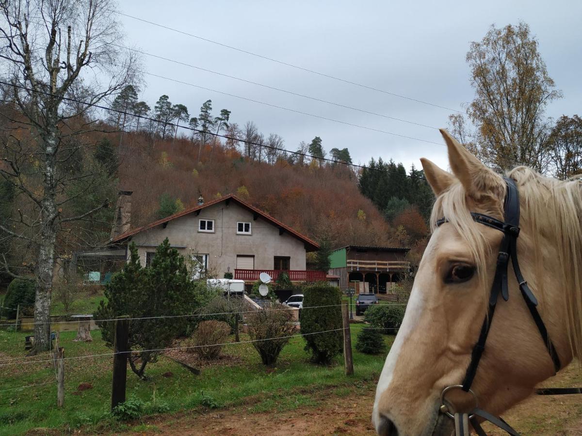 L'Echappee Verte - Gite Equestre 5 Pers Soucht Dış mekan fotoğraf