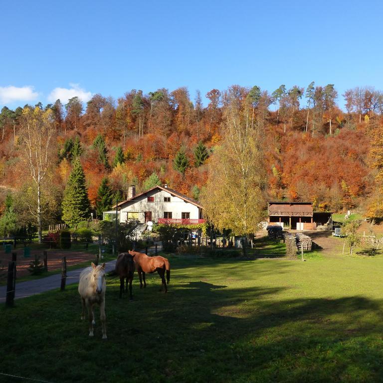 L'Echappee Verte - Gite Equestre 5 Pers Soucht Oda fotoğraf