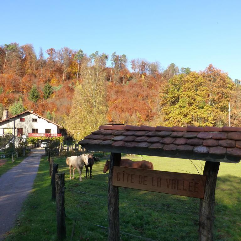 L'Echappee Verte - Gite Equestre 5 Pers Soucht Oda fotoğraf