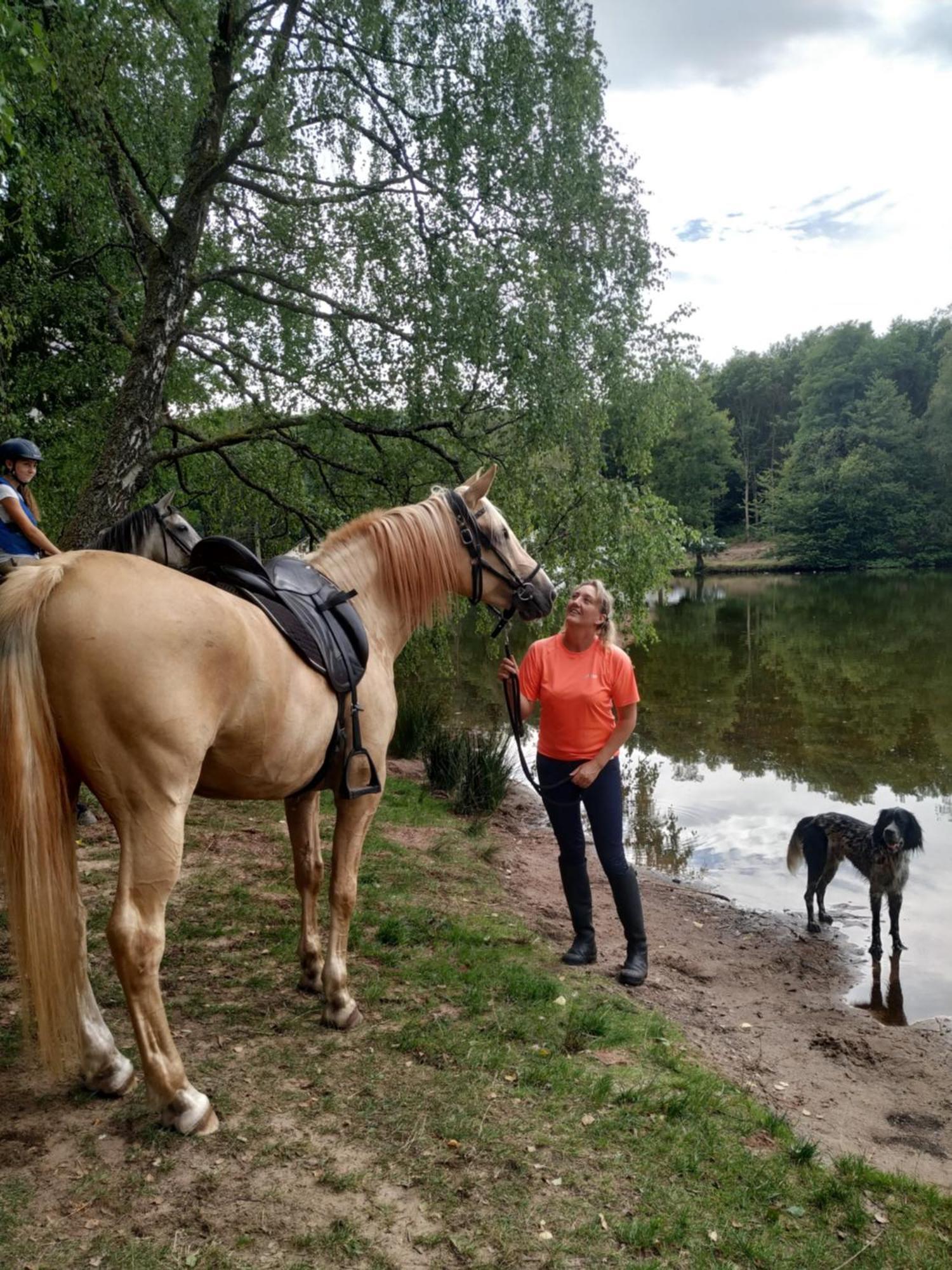 L'Echappee Verte - Gite Equestre 5 Pers Soucht Dış mekan fotoğraf