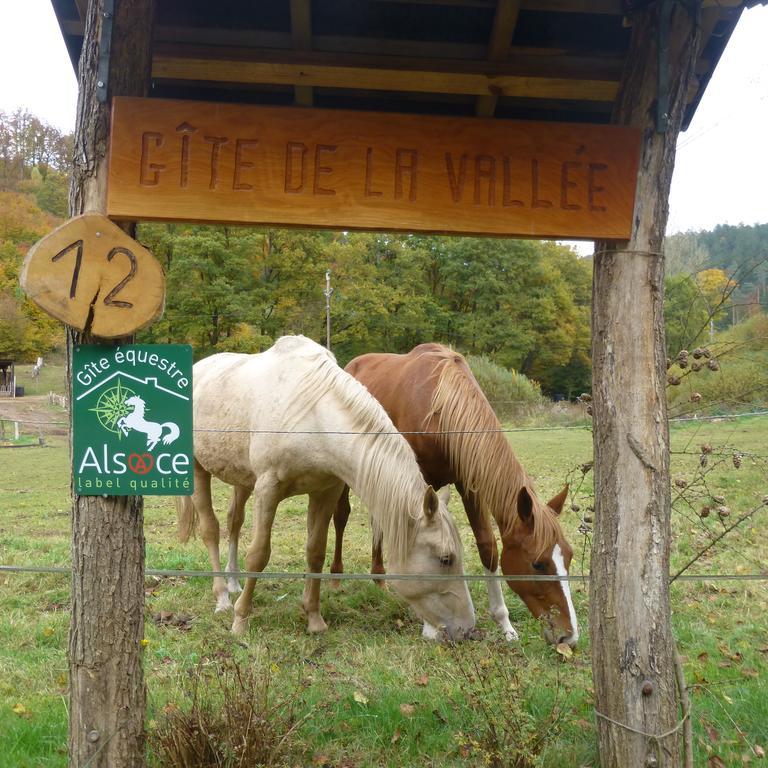 L'Echappee Verte - Gite Equestre 5 Pers Soucht Dış mekan fotoğraf