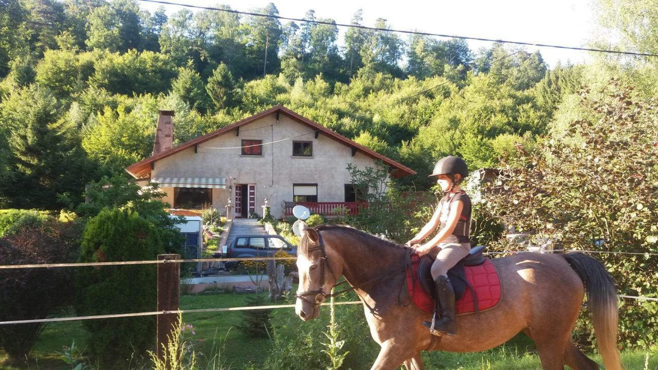 L'Echappee Verte - Gite Equestre 5 Pers Soucht Dış mekan fotoğraf