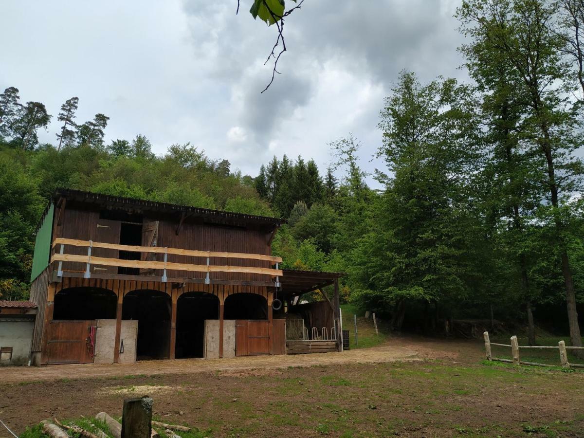 L'Echappee Verte - Gite Equestre 5 Pers Soucht Dış mekan fotoğraf